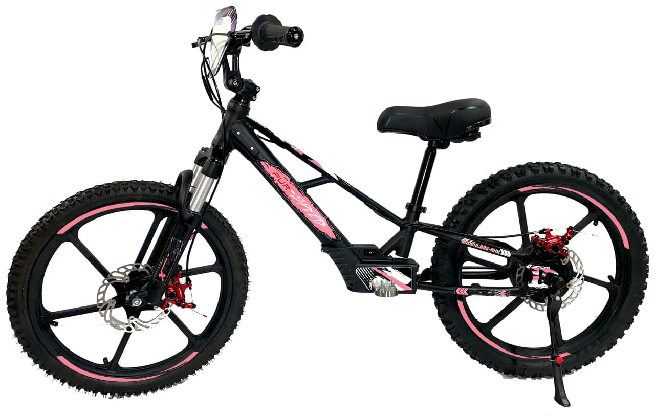 Pῡr-Speed 20" Xtreme Electric Balance Bike | Semi-Hydraulic Brake Calipers | 48v/500w with 4.0Ah Battery
